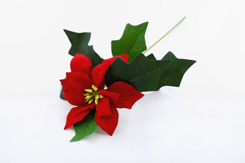 Mű ÁG MIKULÁSVIRÁG kicsi